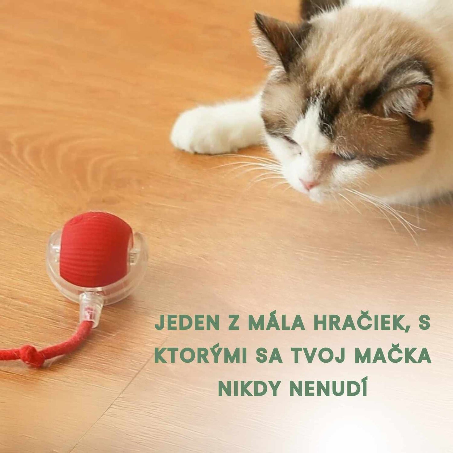 Inteligentná a interaktívna loptička pre vašu mačku – Nabíjateľná cez USB