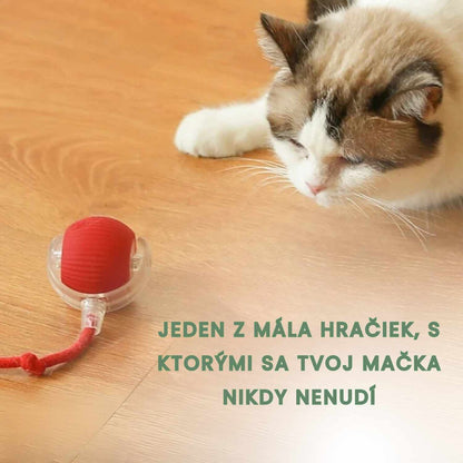 Inteligentná a interaktívna loptička pre vašu mačku – Nabíjateľná cez USB