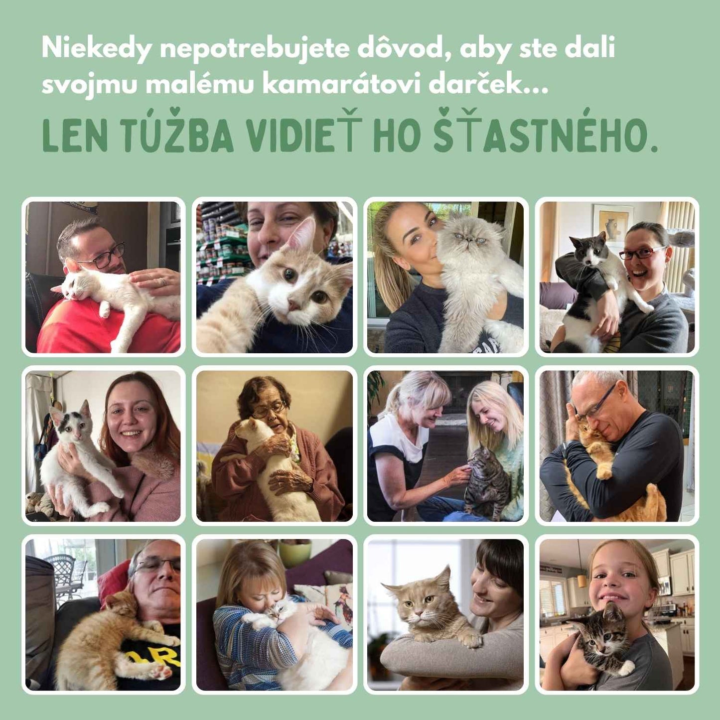 Inteligentná loptička pre mačky, 100 % autonómna, navrhnutá tak, aby napodobňovala skutočnú korisť